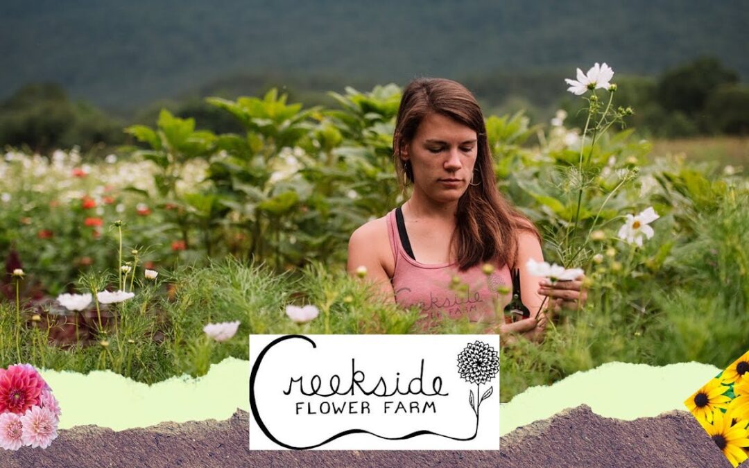 Farm Tour: Creekside Flower Farm